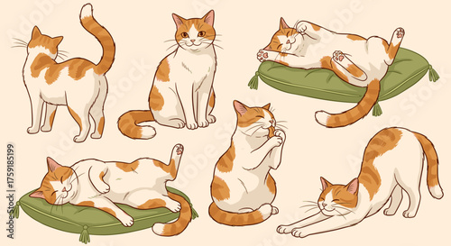 Ginger and White Cat Poses Collection: Relaxing, Stretching, Grooming in Various Cartoon Style Illustrations for Veterinary Healthcare, Pet Product Marketing, Animal Education, Lifestyle Design, Playf