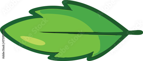 Cartoon Leaf Vector Illustration Cute Green Leaf Isolated on White Background
