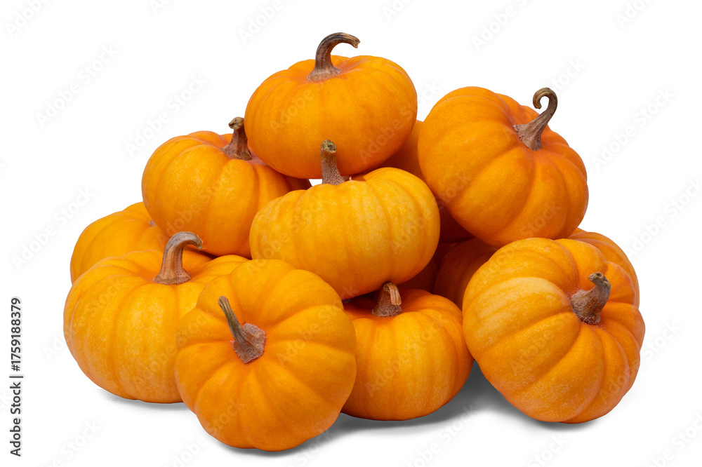 Obraz premium pile of orange pumpkins on white background