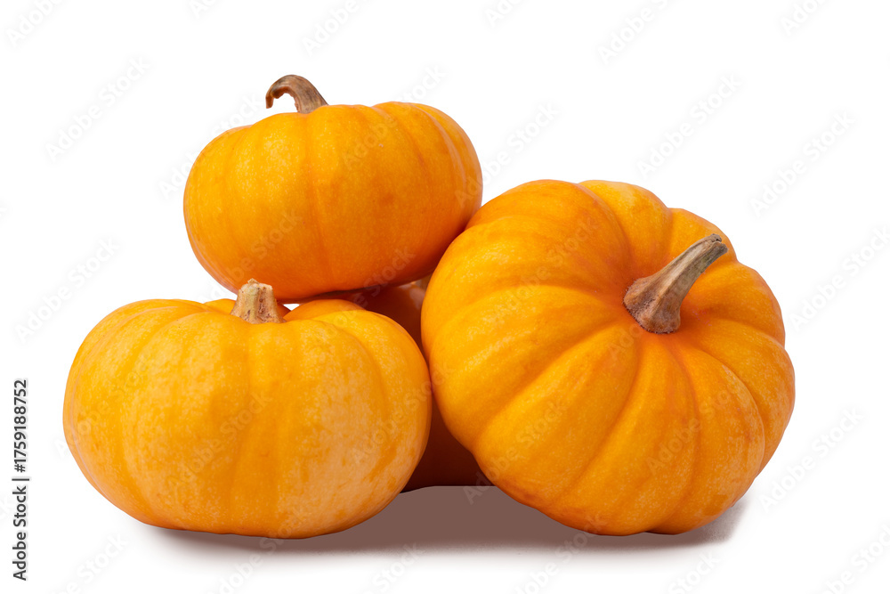 Obraz premium mini pumpkins stacked on dark background
