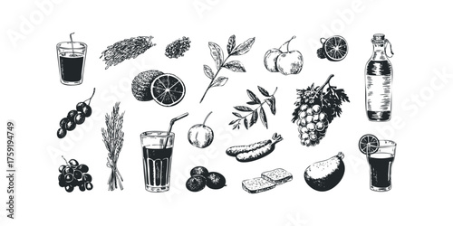 Collection of Hand Drawn Fruit and Vegetable Illustrations