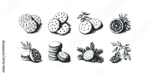 Collection of Hand-Drawn Treats and Citrus Fruit Slices