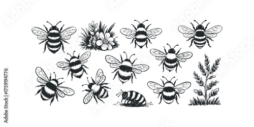 Collection of Hand Drawn Bees and Botanical Elements