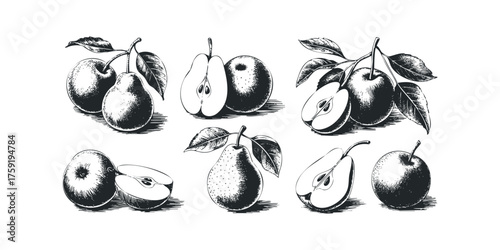 Collection of apples and pears with leaves and cuts