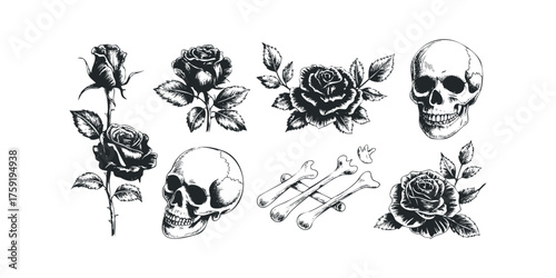 Rose and skull ink sketch collection