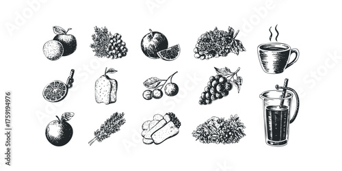 Hand-drawn sketch of fruits, coffee, and drinks