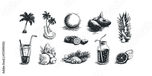 Tropical fruit assortment with palm trees and drinks