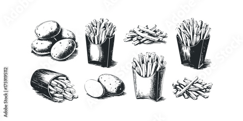 Hand Drawn Potatoes and French Fries Collection