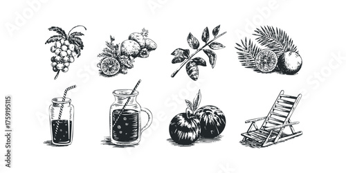 Various Summer Refreshments and Fruits with Sketchy Style