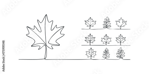 Single Line Drawing Of Maple Leaf And Small Branch Group