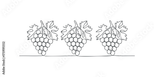 Continuous line drawing of three bunches of grapes with leaves