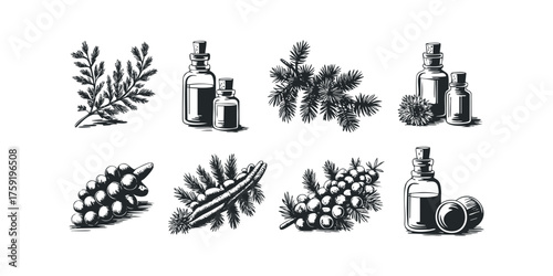 Various botanicals and essential oil bottles