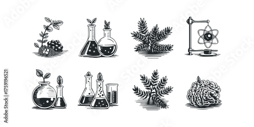 Collection of scientific and botanical sketch elements