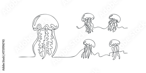 Continuous line drawings of several jellyfish floating