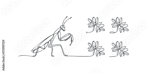 Line drawing of a praying mantis with floral motifs