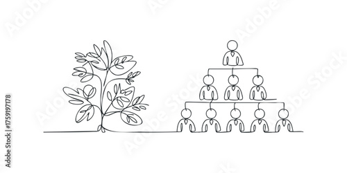Line drawing of a flourishing plant and a hierarchical organizational chart