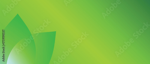 Eco Leaf Glow Gradient Background — Bright green gradient with soft abstract leaf forms on the left, evoking freshness and sustainability. Clean, versatile backdrop for eco, wellness, and clean-tech l