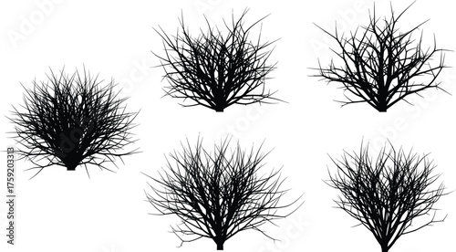 Silhouette of leafless bushes and small trees, natural branching patterns, winter vegetation, isolated black shapes, abstract forest design illustration