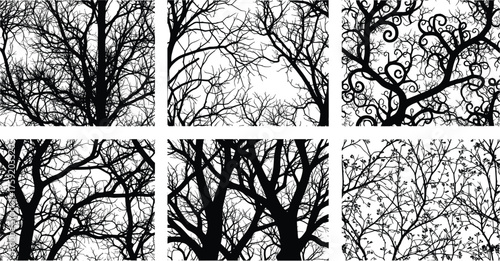 Black and white tree branch silhouettes, abstract nature illustration, bare twigs, seasonal design, fantasy vines, spring buds, decorative botanical artwork