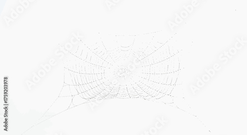 Delicate spiderweb glistening with morning dew, a stunning nature scene for backgrounds and textures, conveying fragility and the beauty of nature