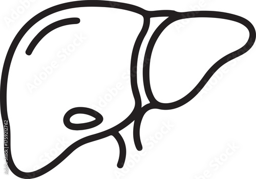 Simple outline drawing of the human liver organ in black and white
