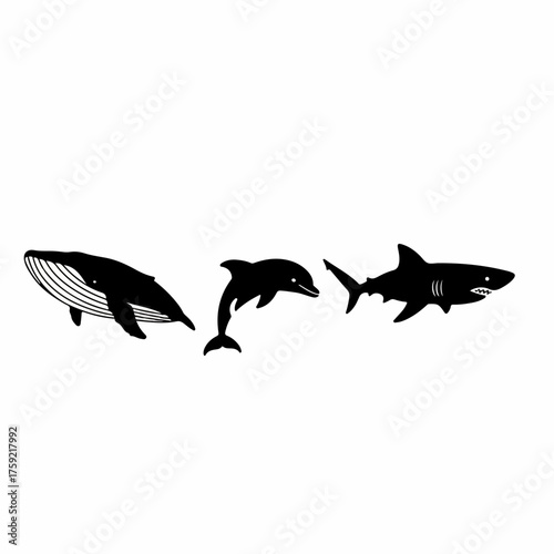 Simple Silhouette Whale Dolphin Shark Sea Animals Marine Wildlife Illustration