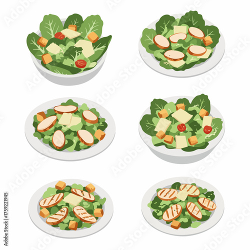 Flat Isometric Chicken Caesar Salad Bowl and Plate Food Set