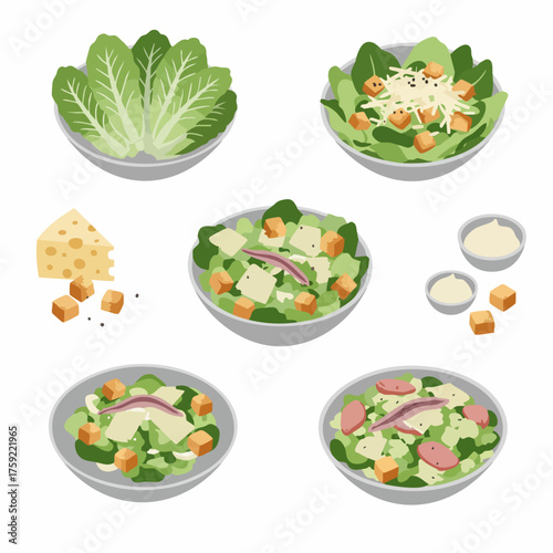 Detailed Handdrawn Caesar Salad Preparation Stage Flat Illustration