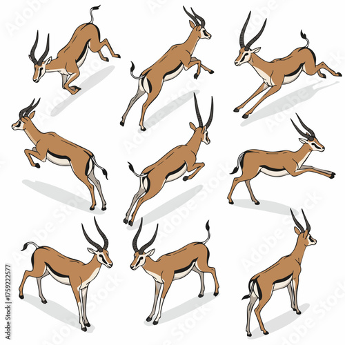 Isometric Detailed Gazelle Animal Wildlife Illustration Isolated Pose Set
