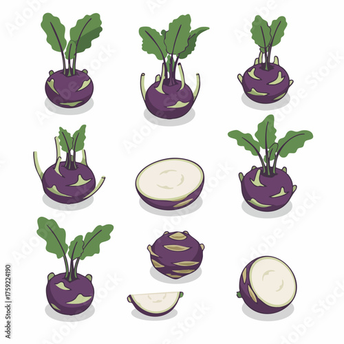 Detailed Pixel Art Kohlrabi Vegetables Set Food Agriculture Ingredients