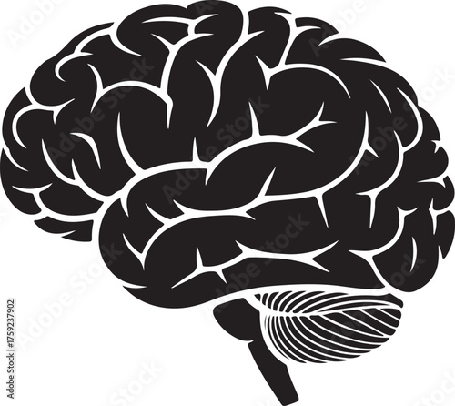 Stylized silhouette of a human brain with detailed gyri and sulci