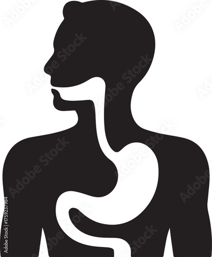 Human digestive system anatomy silhouette