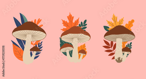 Delicate mushrooms surrounded by colorful autumn leaves for a festive seasonal feel.