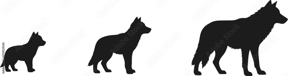 Obraz premium Wolf Lifecycle Silhouette Vector Illustration Graphic