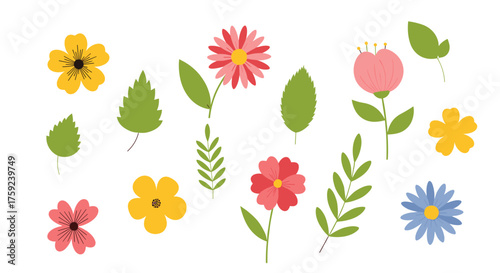 A collection of pretty blooming flowers and green leaves in various colors and shapes.