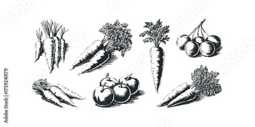 Collection of Black and White Carrots and Apples