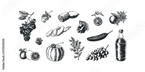 Hand-drawn collection of fruits, herbs, and bottle