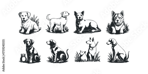 Group of diverse dog breeds depicted in a monochrome sketch style