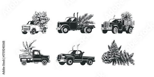 Collection of Vintage Trucks Transporting Foliage and Trees
