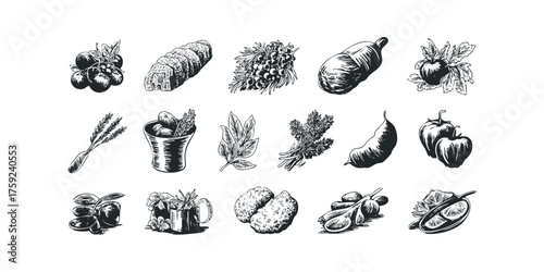 Arrangement of vintage food and botanical line drawings
