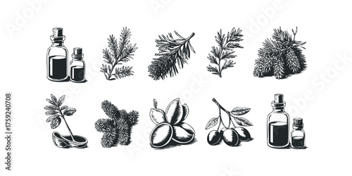 Various botanical elements with essential oil bottles and fruits