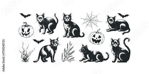 Halloween black cat bat pumpkin spider web graphic set