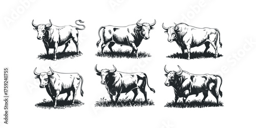 Six bull and ox illustrations in monochrome style