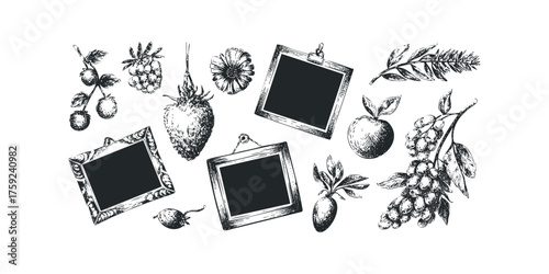 Sketchy Fruits and Hanging Frames Collage