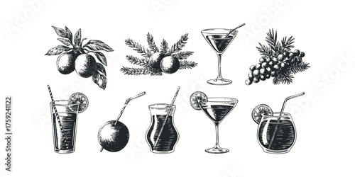 Collection of Hand Drawn Fruit and Cocktail Beverages