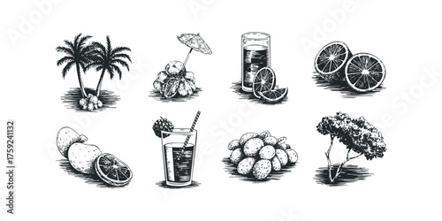 Collection of tropical fruits and drinks