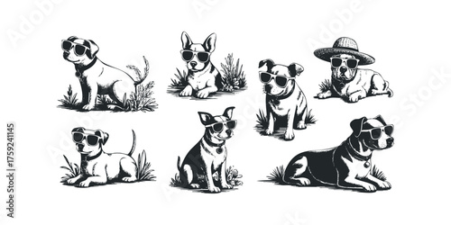 Collection of dogs wearing sunglasses and a straw hat in grassy areas