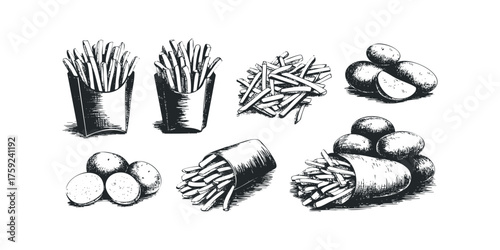 Hand Drawn French Fries and Potatoes in Sketch Style