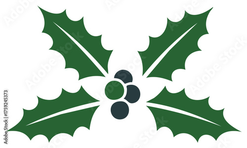 Graphic holly sprig with berries illustration for seasonal design, winter holidays, christmas