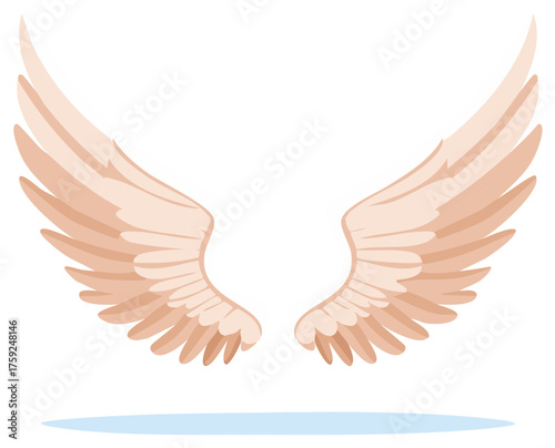 Stylized Angel Wings Splayed Open With Soft Peach Feathers and Subtle Shadow